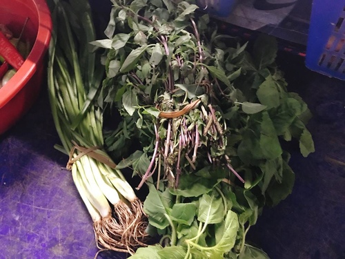 20180713-2(7).jpg - 2018泰北放暑假