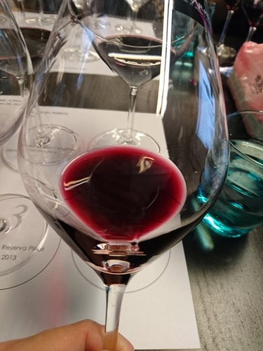 20160326梧桐沙龍智利品酒會 (12).jpg - 2016年品酒誌