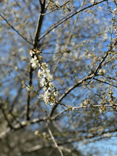 20210130 (5).jpg - 2021品酒誌