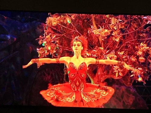 20191003現代芭蕾 (8).jpg - 2019年品酒誌