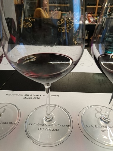 20160326梧桐沙龍智利品酒會 (19).jpg - 2016年品酒誌