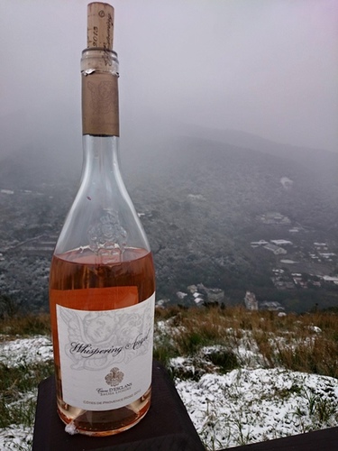 20150124雪中品飲普羅旺斯粉紅 (22).jpg - 2016年品酒誌