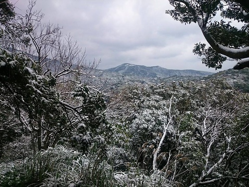 20150124雪中品飲普羅旺斯粉紅 (1).jpg - 2016年品酒誌