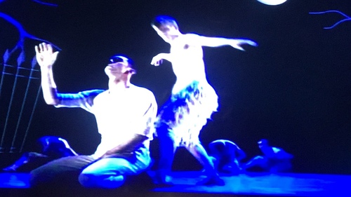 20191108現代芭蕾 (27).jpg - 2019醉飲法奧瑞