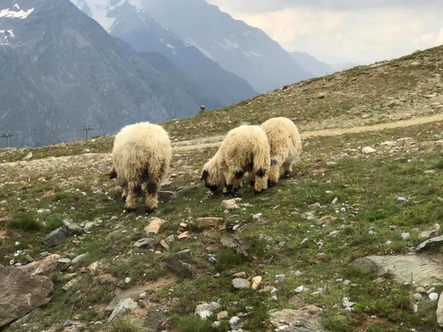 20190720馬特洪峰 (30).jpg - 2019醉飲法奧瑞