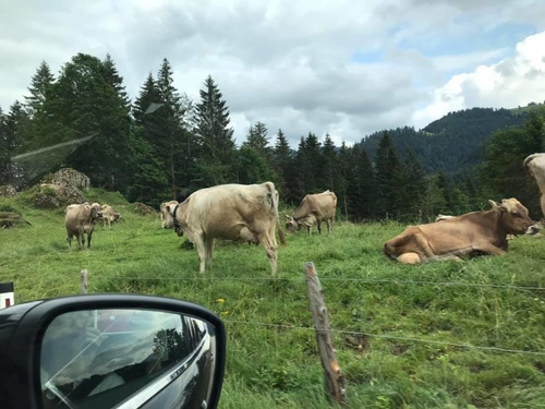 20190713七百里長征一 (24).jpg - 2019醉飲法奧瑞