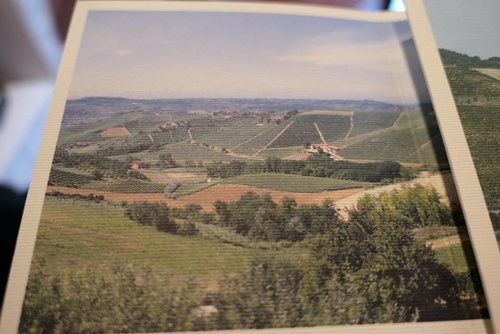 20170807第二個Barbarace酒莊 (2).jpg - 2017醉飲法義