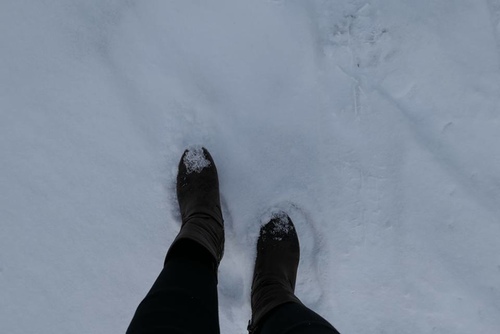 20170123雪前早餐 (10).jpg - 2017北九州溫泉