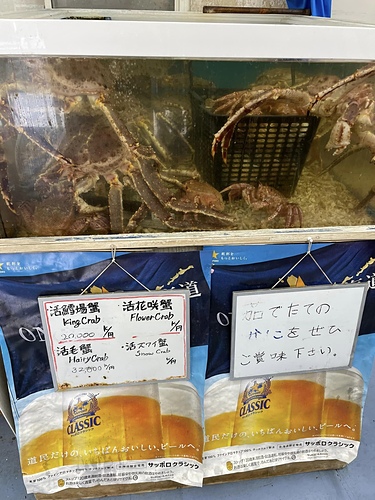 2023 北海道 28 (9).jpg - 2023日本旅遊