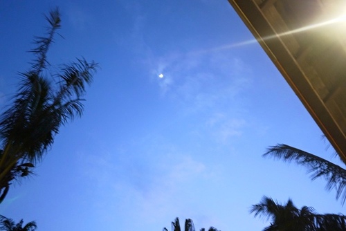 20151217 四重溪 馬爾希拉克甜白 (25).jpg - 2015年品酒誌