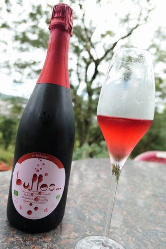 20170311獅頭山林品酒 (1).jpg - 2017年品酒誌