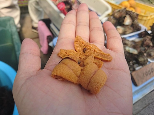 20160705 1-26 (3).jpg - 2016慢遊九州