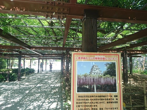 20160707 4-2 (26).jpg - 2016慢遊九州