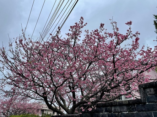 20220124 (13).jpg - 2022品酒誌