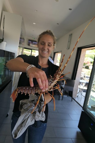 20170702義大利龍蝦面 (5).jpg - 2017醉飲法義