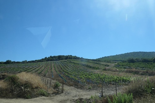 20170707科西嘉角五代酒莊 (8).jpg - 2017醉飲法義