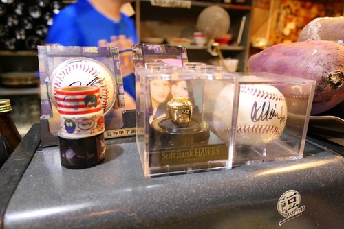 20170120野球鳥 (39).jpg - 2017北九州溫泉