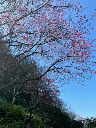 20210130 (19).jpg - 2021品酒誌