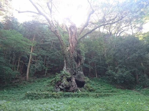 20160707 4-2 (43).jpg - 2016慢遊九州