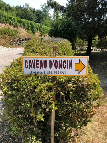 20190724李察吉爾酒莊 (28).jpg - 2019醉飲法奧瑞