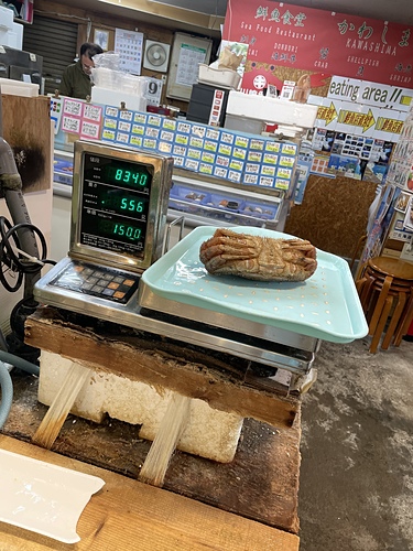 20230209 北海道 (14).jpg - 2023日本旅遊