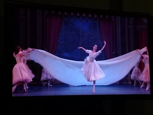 20160521欣賞芭蕾舞劇 (15).jpg - 2016年品酒誌