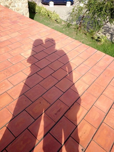 20150702 u7d50u5a5au6176 u51f1u6b4cu9999u6ab3 (29).jpg - 2015u5e74u54c1u9152u8a8c