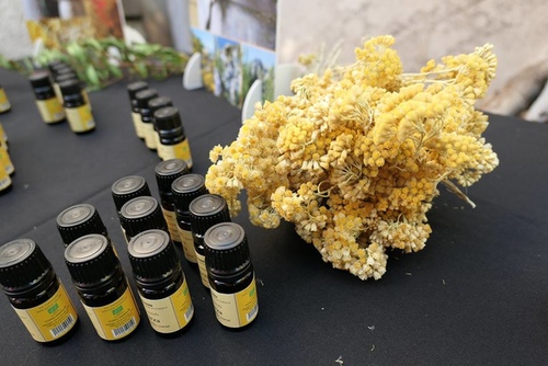 20170706永久花工廠 (9).jpg - 2017醉飲法義