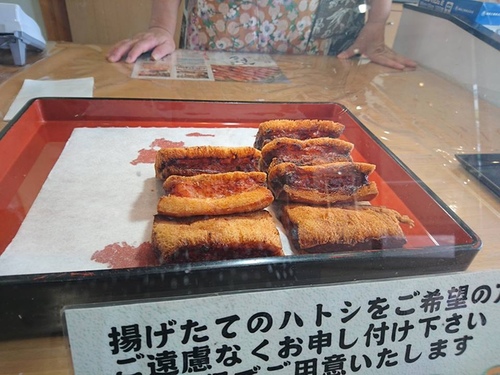 20160707 1-30 (3).jpg - 2016慢遊九州