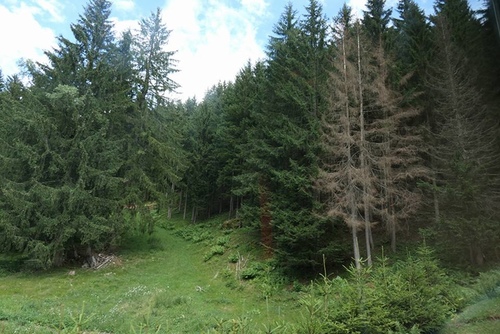 20170711蒙特維冰海 (4).jpg - 2017醉飲法義