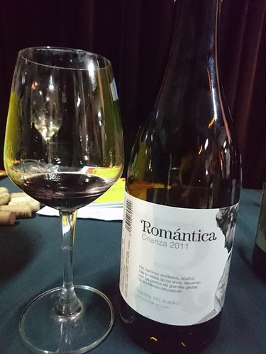 20160528西班牙 (20).jpg - 2016年品酒誌