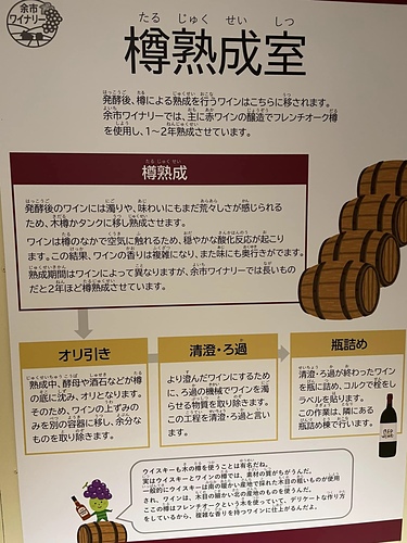 2023北海道20 (5).jpg - 2023日本旅遊