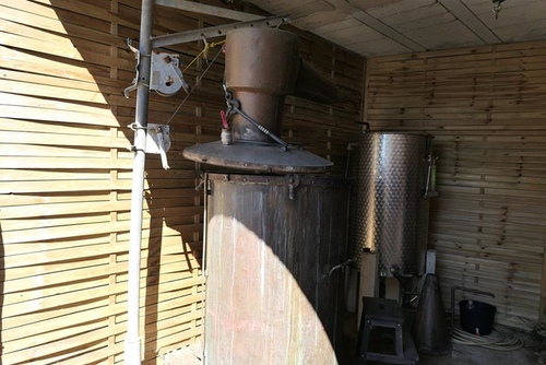 20170706永久花工廠 (30).jpg - 2017醉飲法義