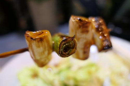 20170120野球鳥 (22).jpg - 2017北九州溫泉