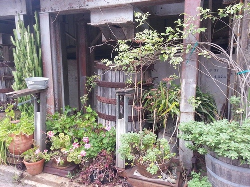 201605150105.jpg - 2016年品酒誌