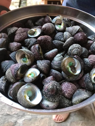 20200722坂里古宅 (11).jpg - 2020-7卡蹓馬祖