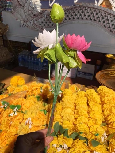 0208-3 (9).jpg - 2018清邁食旅記