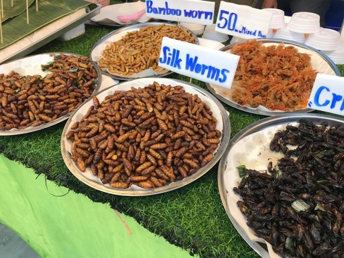 0203-7 (16).jpg - 2018清邁食旅記