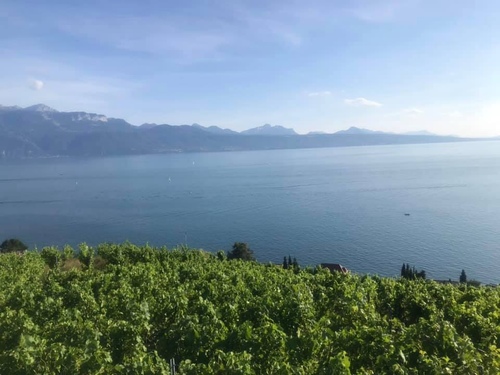 20190722瑞士湖濱旅館 (21).jpg - 2019醉飲法奧瑞