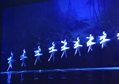 20190912芭蕾講堂2古典 (59).jpg - 2019年品酒誌