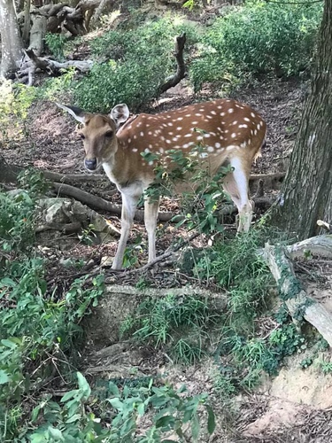 20200723大坵島 (3).jpg - 2020-7卡蹓馬祖
