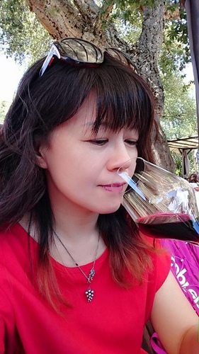 20170703阿爸凸起 (26).jpg - 2017醉飲法義