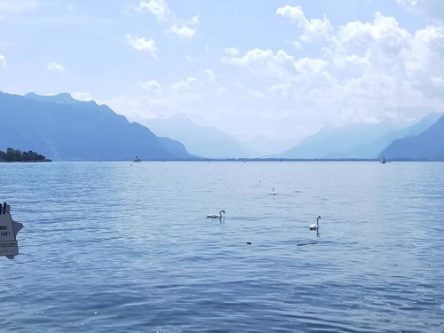 20190722瑞士湖濱旅館 (2).jpg - 2019醉飲法奧瑞