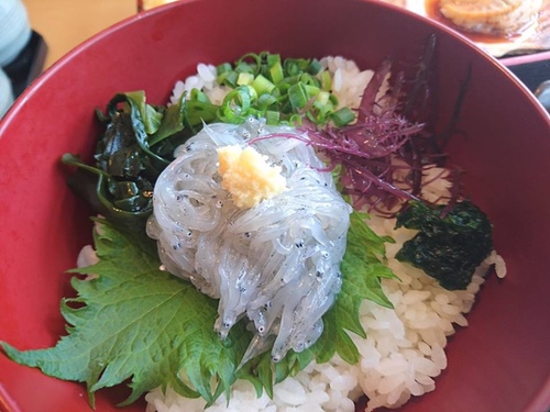 20160502鎌倉美食 (32).jpg - 2016年品酒誌