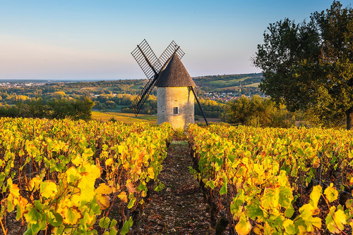 尋俠堂金丘白酒活動 (1).jpg - 2022品酒誌