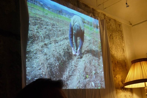 38.Grasseu62dcu8a2au8abfu9999u5e2b17.jpg - u9189u98f2u5357u6cd5