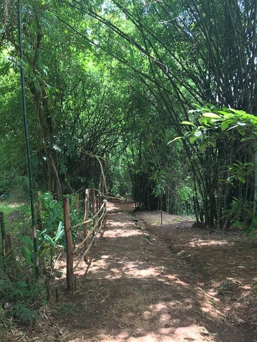 20180705-2 (14).jpg - 2018泰北放暑假