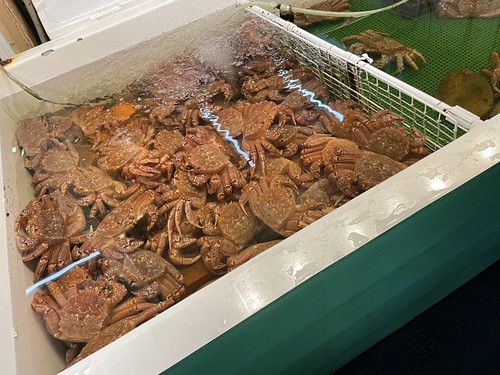 20230209 北海道 (5).jpg - 2023日本旅遊