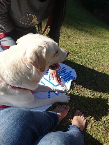 20161218秘境品酒 (19).jpg - 2016年品酒誌