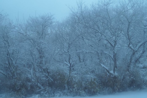 20170123黑川橫斷巴士 (11).jpg - 2017北九州溫泉